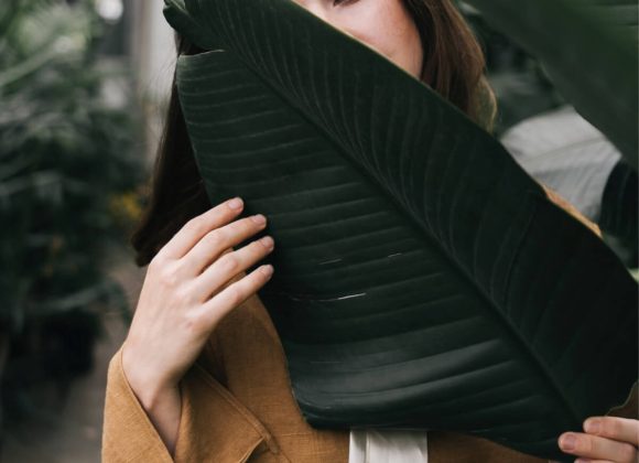 Since You Need A Green Light image 2951